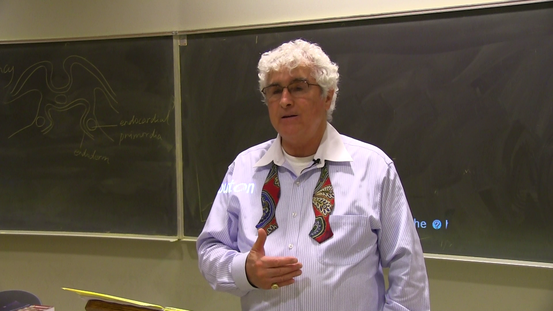 Danny Sheehan lecturing at UC Santa Cruz in 2015